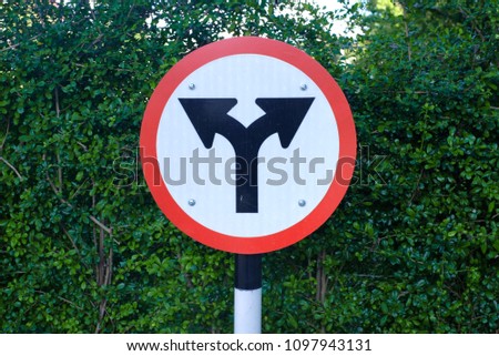 crossroad sign with nature green leaves background

