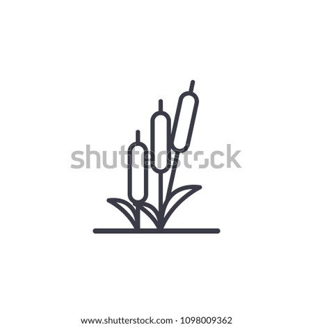 Reed line icon concept. Reed flat vector sign, symbol, illustration.