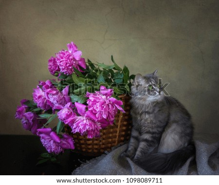 A young Siberian cat and a beautiful bouquet of summer flowers