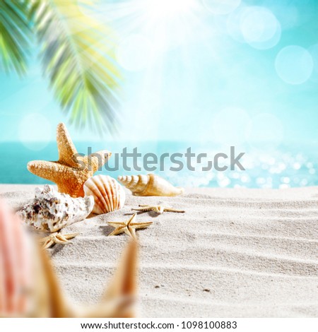 Beach background with sand and palm decoration. Summer photo of free space for your decoration. 