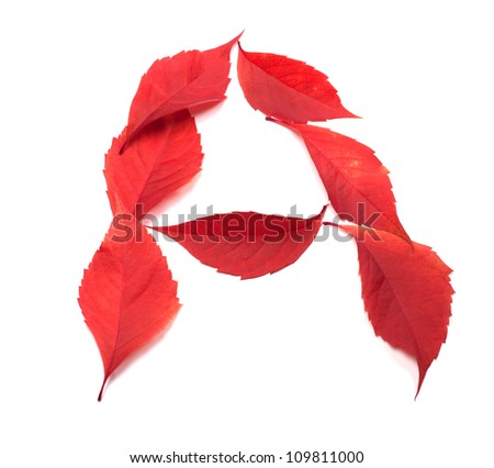 Letter A composed of red autumn virginia creeper leaves on white background