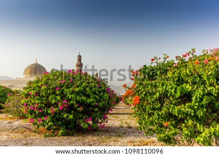 The geometric beauty of  of the Muscat Grand Mosque and its garden in the early morning - 5