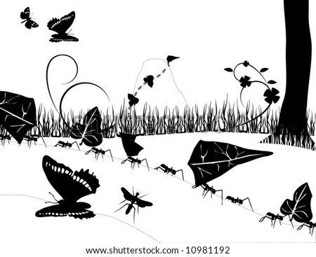  black and white  ants nature vector illustration