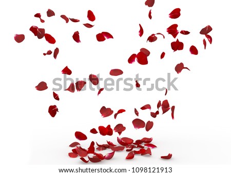 Rose petals fall to the floor. Isolated background