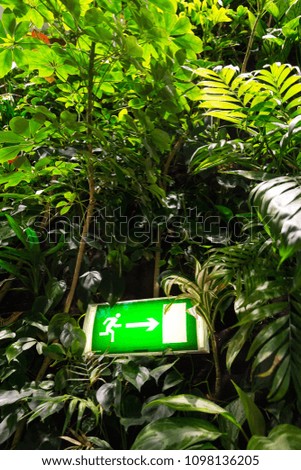 Green shining escape exit sign on living green wall with flowers and plants, vertical garden