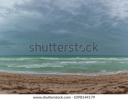 Storm on the beach in Miami. View of storm seascape