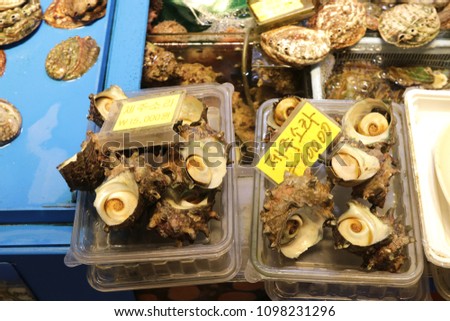 Fresh turban shells on display at famous Dongmun Traditional Market in Jeju Island,South Korea . The food label shows name of turban shells and price tag .
 Royalty-Free Stock Photo #1098231296