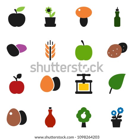 solid vector icon set - oil vector, cook press, egg, mushroom, potato, apple fruit, leaf, diet, cereals, tree, flower in pot