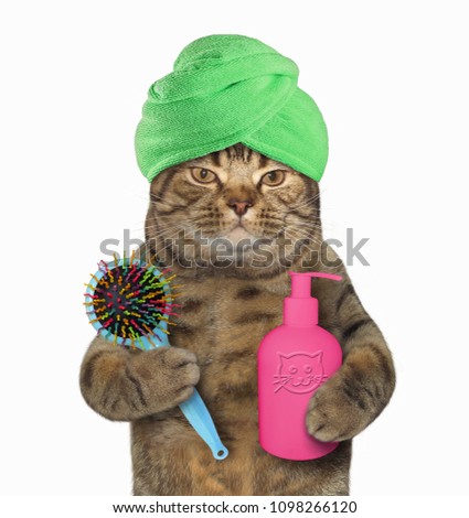 The cat with a green towel around his head is holding a massage comb and a jar of shampoo. White background.