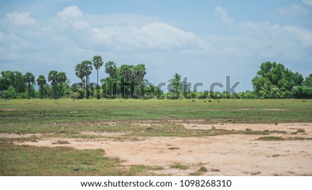 Meadow and forest with sky for background. Panorama view in country of thailand. Farmland and blue sky on country side