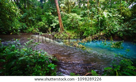 The start of the rio celeste river, where minerals of 2 streams cause a bright blue color in the rio celeste. Photo taken in Tenorio national park, Costa Rica near Bijagua in Alajuela. 