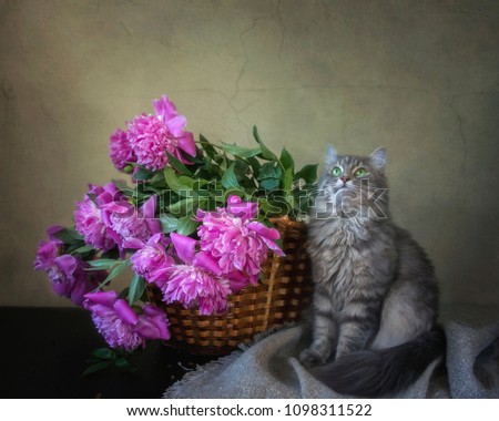 Still life with a basket of pink peonies and a gray cat in the background