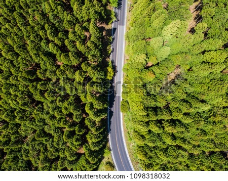Aerial shooting of a straight road between the forests.