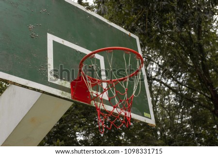 Basketball and tree