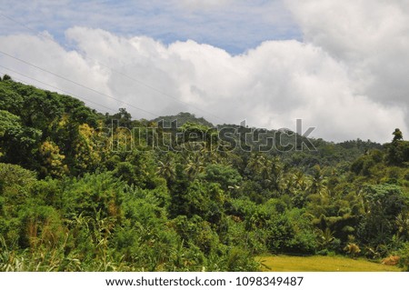 Landscape in Sri Lanka 
