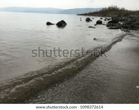 Close up of shoreline by the lake