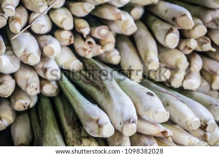 Lemon grass, Making agriculture in thailand Royalty-Free Stock Photo #1098382028