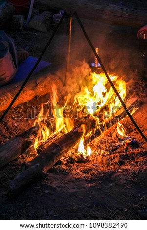 Burning bonfire with soft glowing flame in night forest