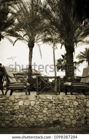 Wicker coffee table and armchairs on the stone patio surrounded by palm trees.