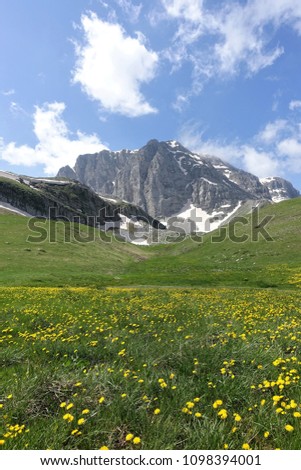 Alpine meadows – Astraka peak
The ultimate spring alpine scenery. Alpine meadows with yellow wild flowers form in front of snow patched Astraka peak, Greece.