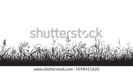 Black silhouettes of grass, spikes and herbs isolated on white background. Seamless border. Hand drawn sketch style vector illustration.