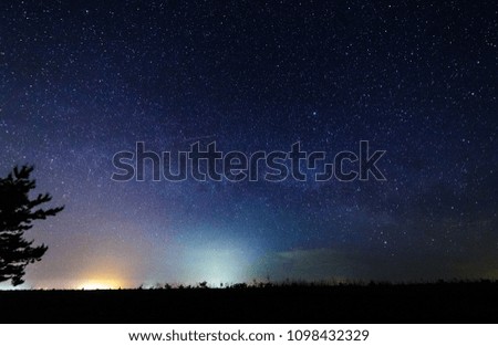 Starry sky and illuminated clouds above the trees.