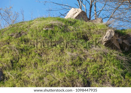 Natural Backgrounds. Large stones on green grass natural landscape.