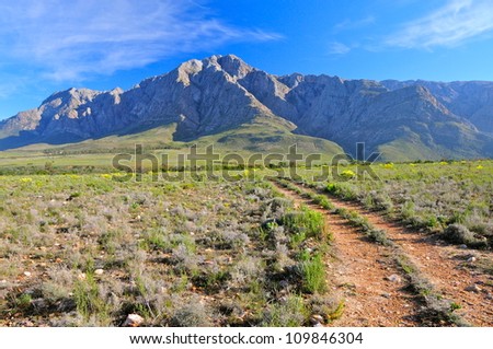 African trail, Western Cape, South Africa