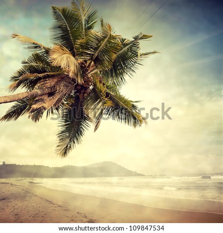 grunge palm background
