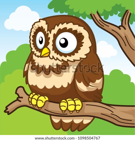 owl, cute cartoon, cute vector