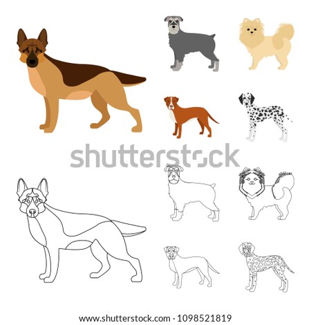 Dog breeds cartoon,outline icons in set collection for design.Dog pet vector symbol stock web illustration.
