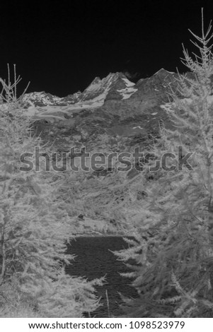 Valpelline, Aosta Valley, Italy. Mountain landscape (infrared photography).