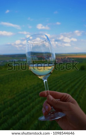 Cheers in the vineyards