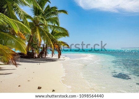 tropic ocean, white beach and beatyful palm trees on Bora Bora Island, society Islands