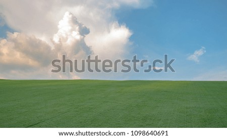 Artificial  grass over the blue sky