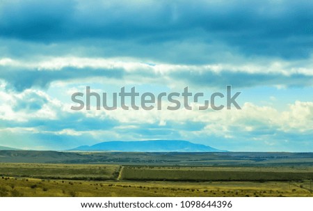 beautiful summer landscape with field wood and sky