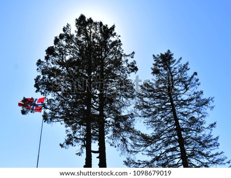 Norwegian tree silhouette 