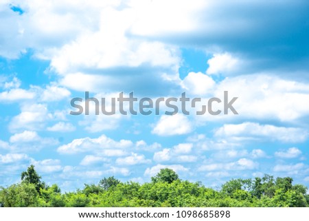 Sky blue or azure sky and clouds on forest background. Everything lies above surface atmosphere outer space is sky. Cloud is aerosol comprising visible mass of liquid droplets frozen in air.
