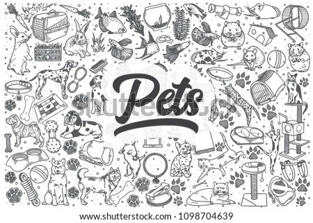 Hand drawn pets doodle set. Lettering - Pets