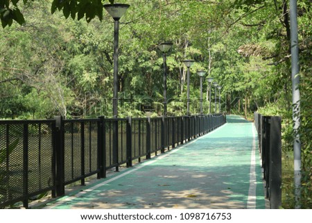 bicycle path in park.