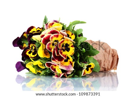 beautiful violet pansies isolated on a white
