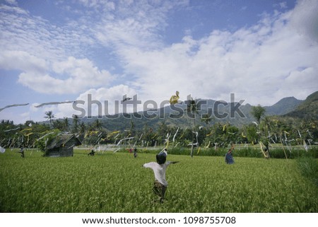 scarecrow on the rice field bali