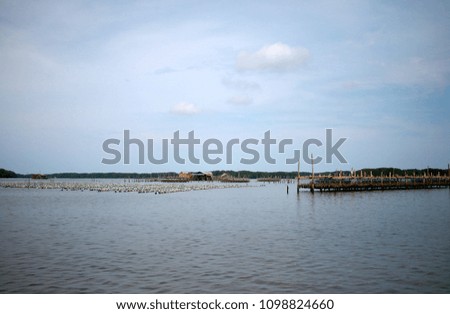 fishing villages, Oyster farming, sea farm in Chanthaburi fromThailand on a cloudy day