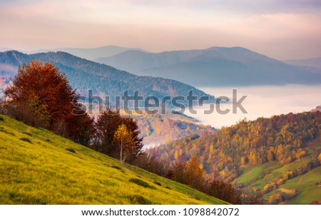 beautiful dawn in mountainous autumn landscape. red foliage on trees and fog in the distant valley