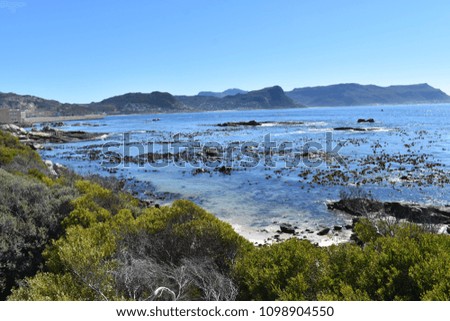 Wonderful landscape at Boulders Beach in Cape Town, South Africa
