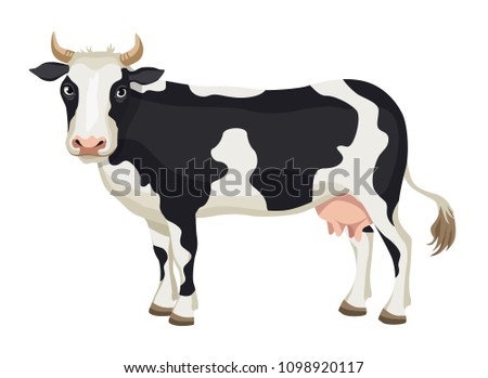 Vector cartoon black and white cow isolated on white background - dairy products, farming