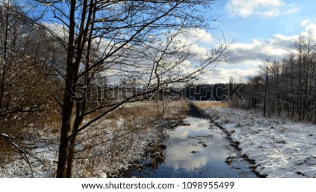 Winter landscape. River. Water