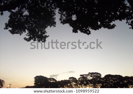View of tree and sky at dusk