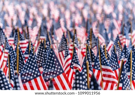 Field of US flags with selective focus
