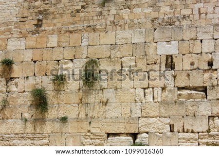 view of the Western wall in the old city of Jerusalem in Israel